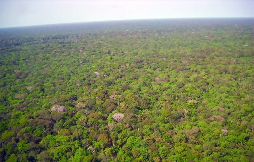 Um Sínodo para a  Amazônia: Por que sim?